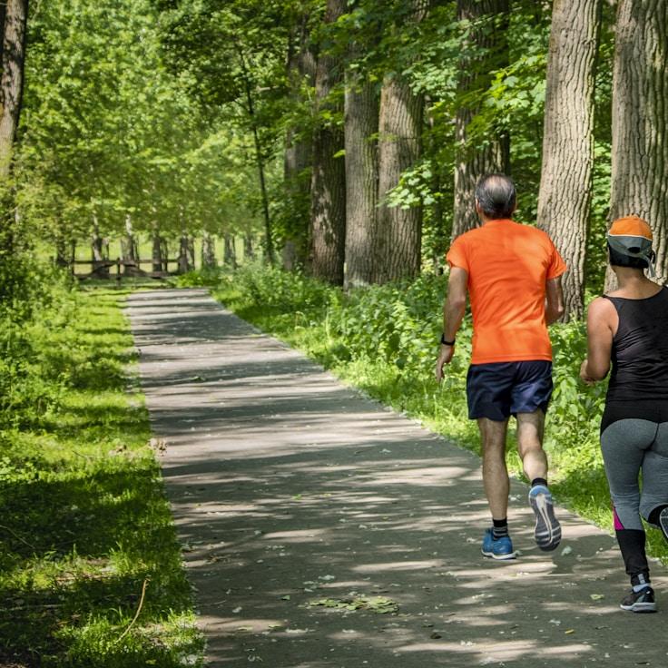 Choosing the right gym environment